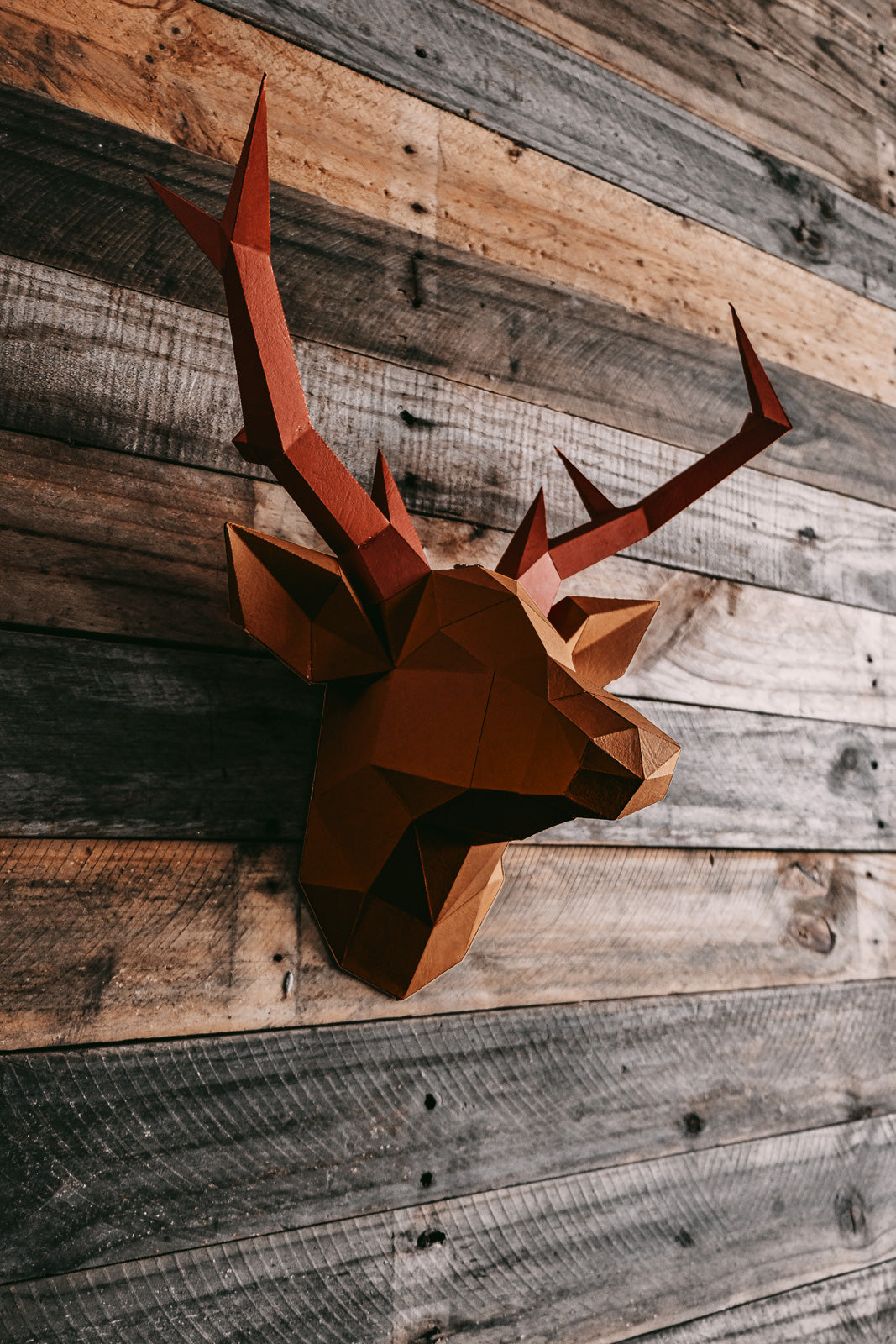 Deer Head Wall Art