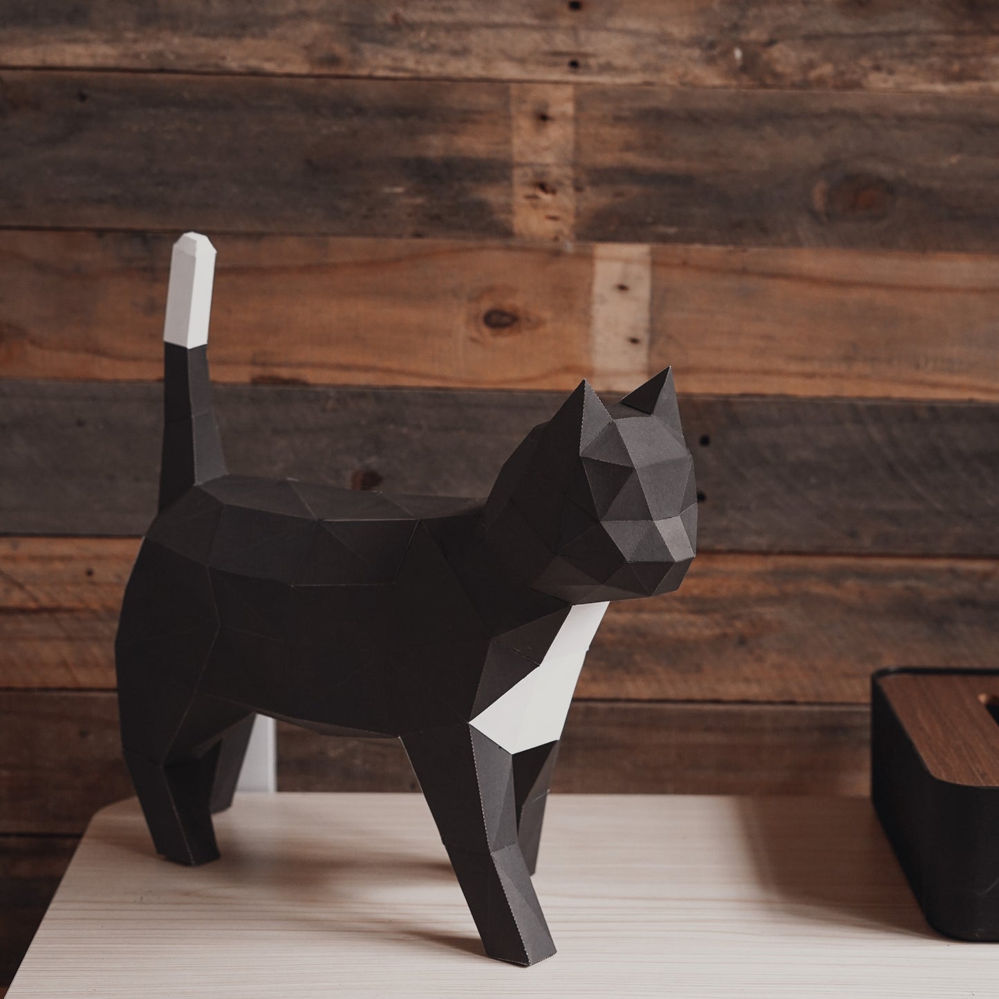 Black Cat Model 3D