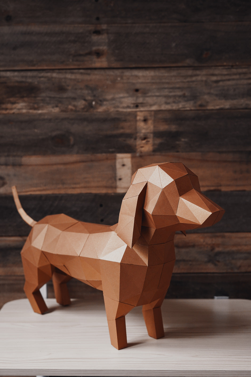 Frank Dog Paper Craft