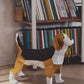 Beagle Dog Papercraft