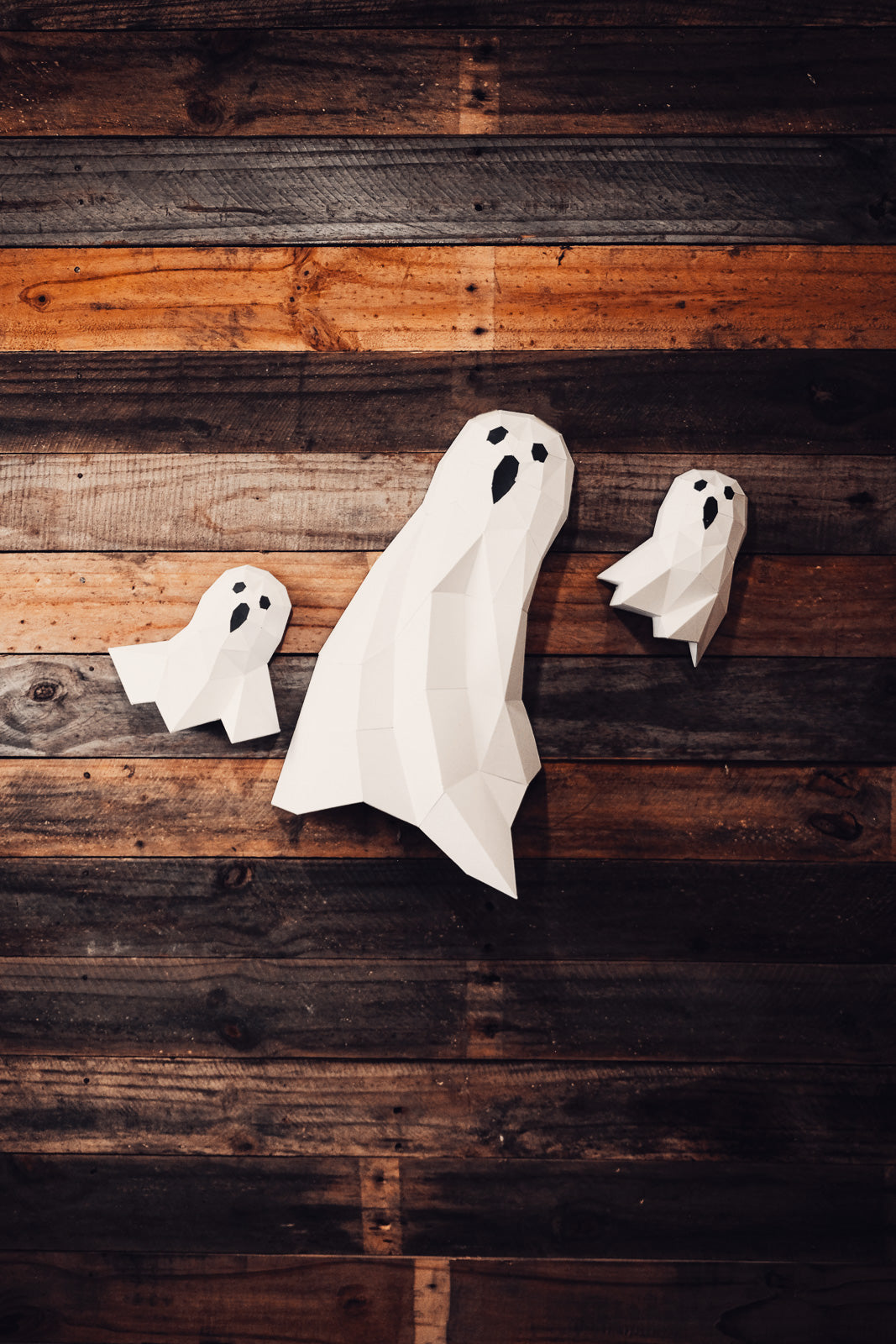 Ghosts 3D Wall Art