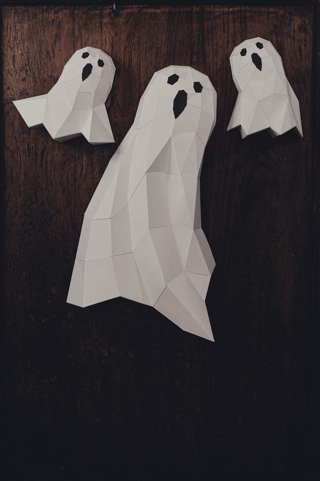 Ghosts 3D Wall Art