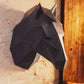 Horse Head Animal Wall Art