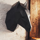 Horse Head Animal Wall Art