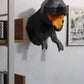 T-Rex Model 3D Wall Art Decor