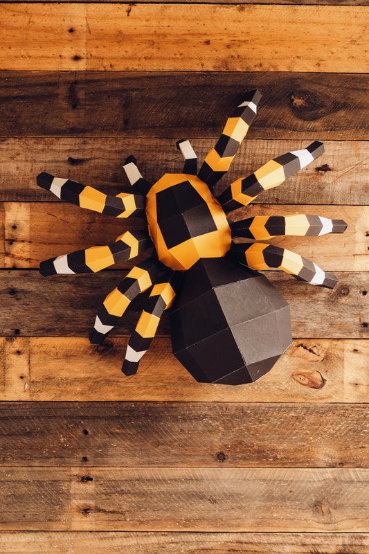 Spider Paper Model Kits