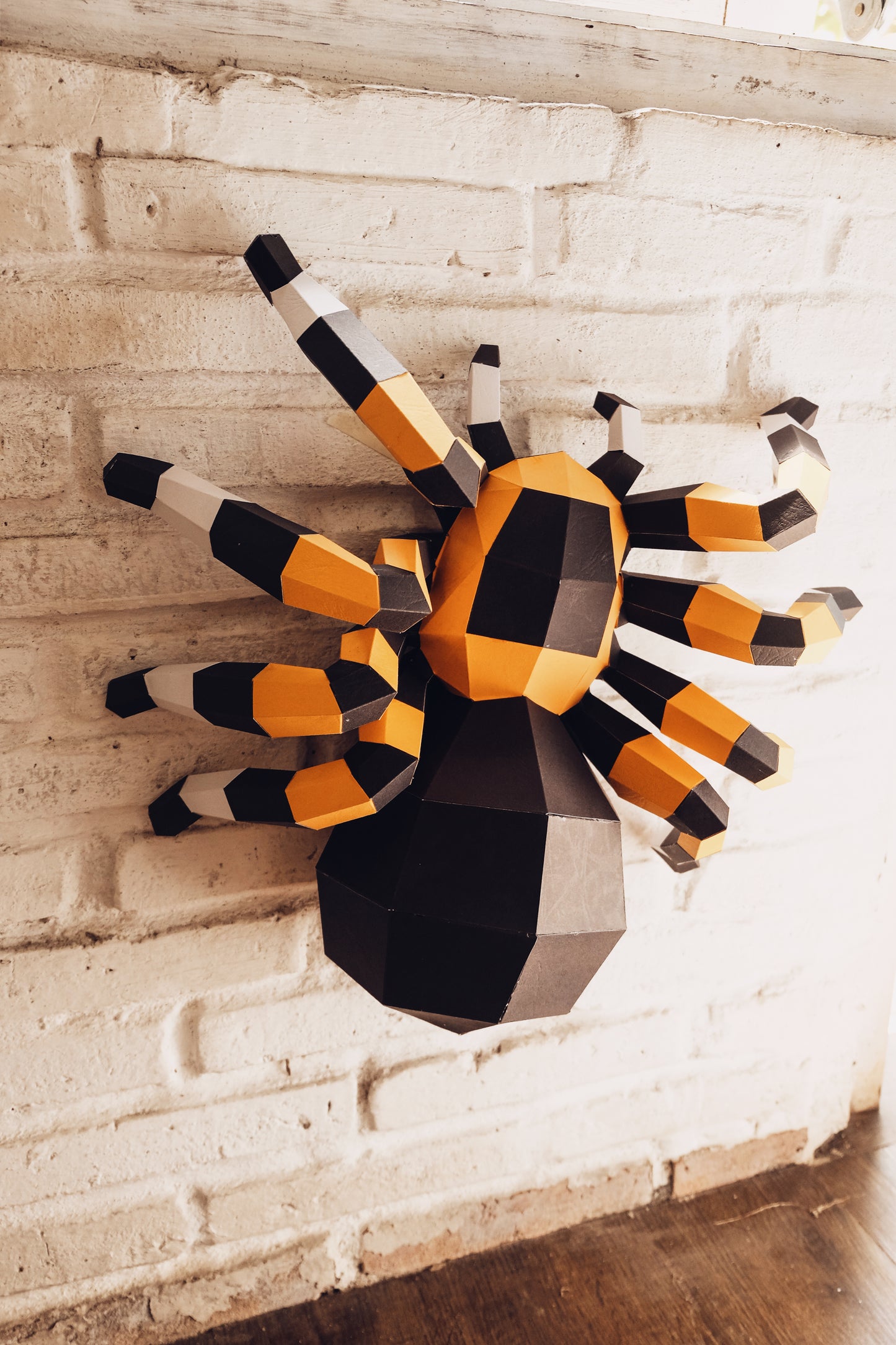 Spider Paper Model Kits