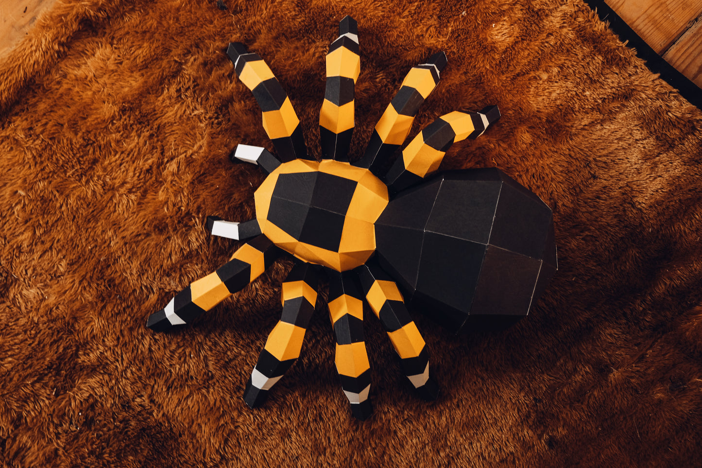 Spider Paper Model Kits