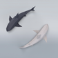 Sharks - Free Papercraft Model